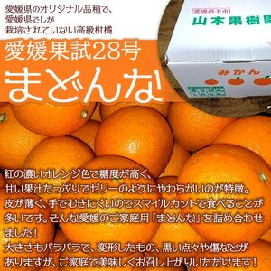 【先行予約】紅まどんなと同品種！＜まどんな 約4kg 家庭用 M～3Lサイズ混合＞果物 オレンジ 柑橘 みかん 愛媛果試第28号 マドンナ 自宅用 特産品 山本果樹園 西宇和 三瓶産 愛媛県 西予市【