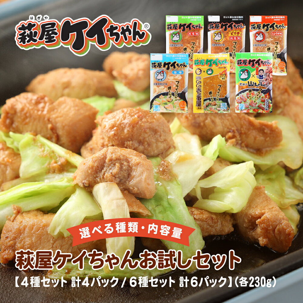【ふるさと納税】【セット内容が選べる】萩屋ケイちゃんお試しセット【 4種セット 計4袋／6種セット 計6袋】(各230g) みそ・しょうゆ・しお・ピリ辛みそ・カレー・幻のコショウ味 簡単調理 味付け鶏肉 冷凍配送 下呂市 味付け 焼くだけ おかず 萩原チキン 9000円 11000円