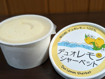 【ふるさと納税】中川村産レモン使用のレモンシャーベット　5個入り