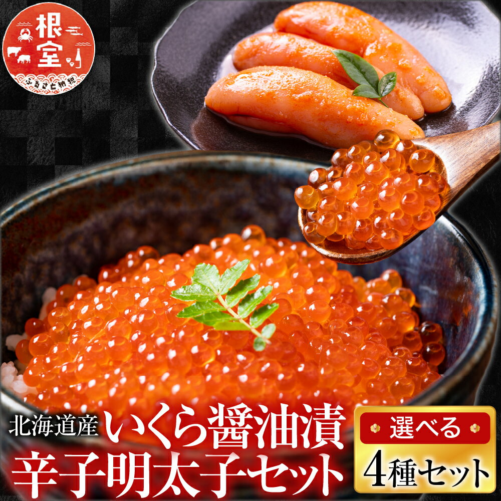 [北海道根室産]＜鮭匠ふじい＞いくら醤油漬250g・辛子明太子300g