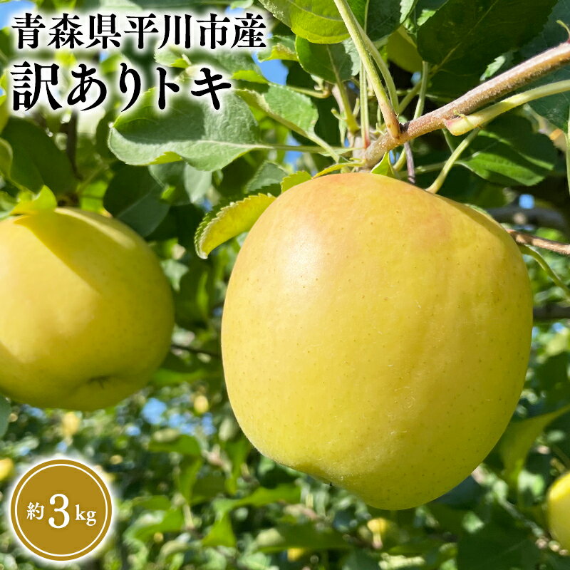 【ふるさと納税】≪9月中旬頃より発送≫青森県産 訳あり トキ 約3kg【青森県 平川市 なるみ農園】家庭用 訳アリ 青森 青森県産 平川 りんご リンゴ 林檎 くだもの 果物 フルーツ レビューキャンペーン
