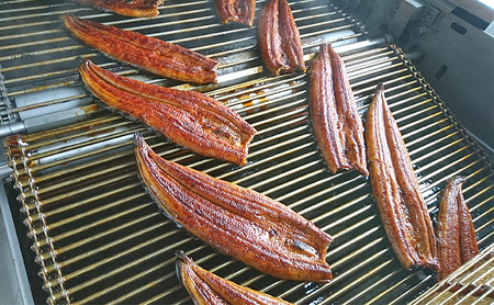 うなぎ 蒲焼き 真空パック 約200g×2尾 うなぎ