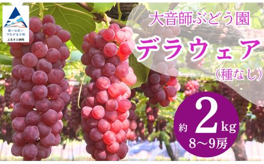 【2026年 先行予約】 ぶどう デラウェア 2kg （8房~9房） 果物 ぶどう 葡萄 ぶどうふるさと納税 フルーツ | 石川県 小松市 大音師ぶどう園