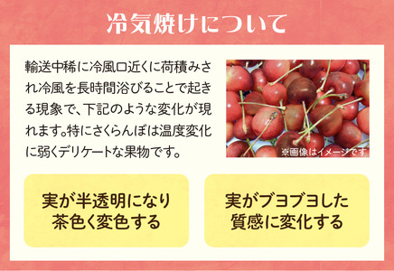 《先行受付》さくらんぼ 山形紅王（やまがたべにおう）約500g (2Lサイズ以上) 【2026年6月中旬～順次発送予定】 022-012