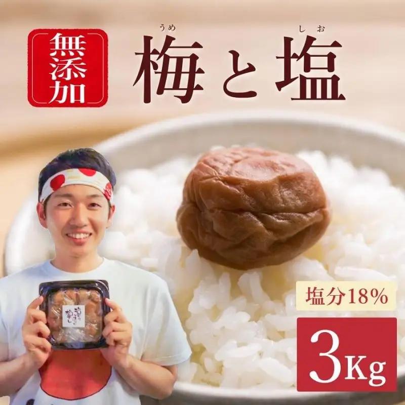 【常温保管可能 】ミネラル豊かな天日塩だけで漬けた無添加梅干し1kg×3パック／塩分18％　南高梅 【umehkr007A】