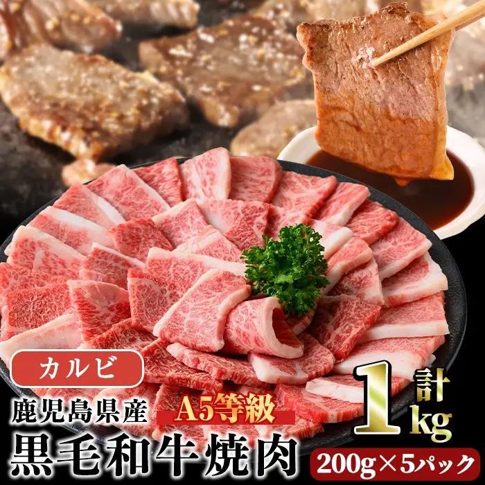 A5等級 鹿児島県産 黒毛和牛 カルビ 焼肉 (計1kg・200g×5パック×1回)  黒毛和牛【LRプラスK】A491-v01