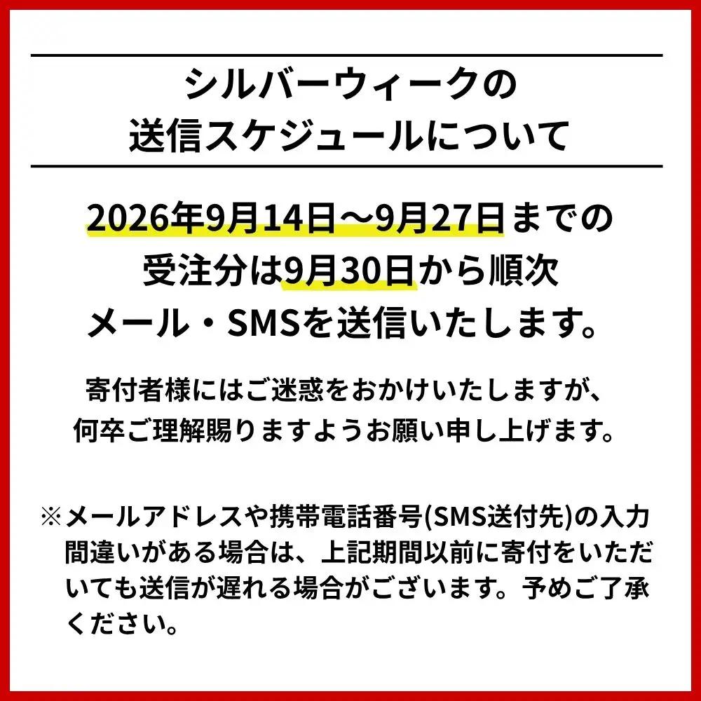 北海道札幌市　日本旅行　地域限定旅行クーポン90,000円分（Eメール発行）