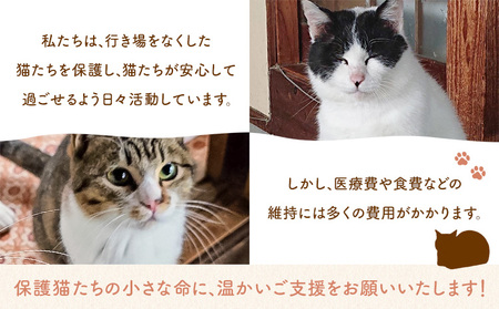 【返礼品なし】保護猫支援寄附 10,000円 一般社団法人オープンセサミアライブ 熊本県 南阿蘇村 保護猫 支援 猫 ネコ ねこ 生活支援 動物愛護 保護 返礼品なし 寄附 牧場 オープンセサミ アニ