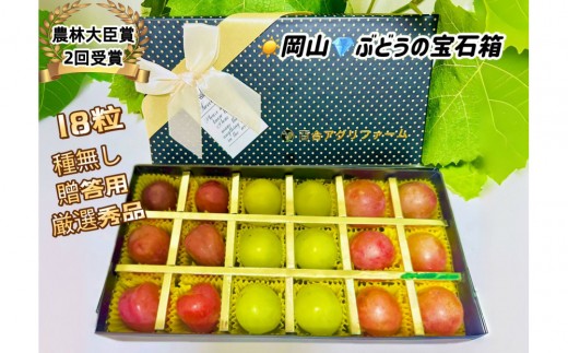 【8月中旬から発送】 2026年 岡山産ぶどう3種 食べ比べ 宝石箱 クイーンニーナ シャインマスカット マイハート 粒だけ18粒 長方形化粧箱 農林大臣賞2回受賞  岡山 果物 フルーツ  数量限定 【箱カラー：ブラック】