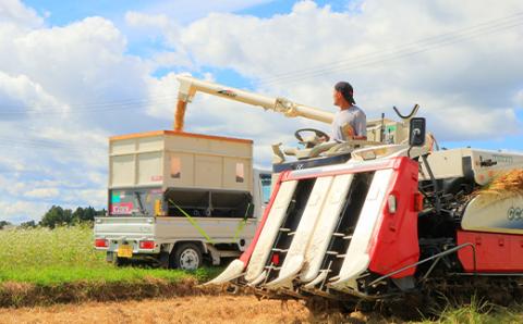 令和5年産 漢方栽培 十四代目のササニシキ 5kg（精米）米 お米 おこめ 山形県 新庄市 F3S-1700