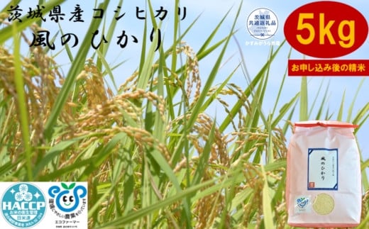 
            【令和7年度産】＼農家直送！出荷日精米／茨城県産 コシヒカリ 風のひかり 5kg 茨城県共通返礼品 かすみがうら市産 米 お米 白米 こめ 精米 取り寄せ 特産 ごはん ご飯 コメ お取り寄せ ギフト 贈り物 お弁当 弁当 おにぎり ふっくら ツヤツヤ 甘い 農家直送 産地直送 国産 茨城県産
          