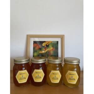 純粋ハチミツ 4種セット (アカシア 山桜 ソヨゴ 野山の花 500g×各1) 瑞浪市 / honey shop Bee farm asano 蜂蜜 はちみつ [AZBT016]