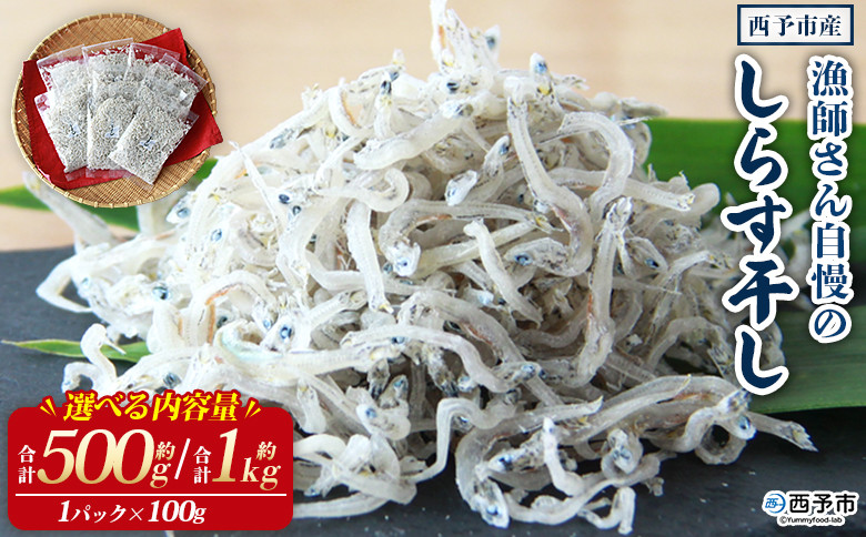 
            漁師さん自慢のしらす干し 合計500g/1kg（1パック100g入り） シラス 魚介類 さかな 海産物 海鮮 海の幸 小分け 国産 ご飯のお供 丼 おつまみ 晩酌 おかず おやつ 特産品 産地直送 濱田水産 愛媛県 西予市 【冷凍】
          