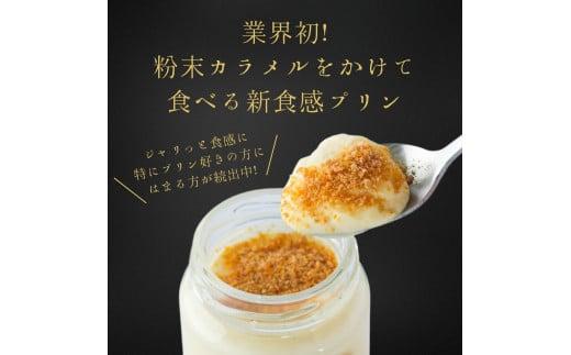 プリン専門店Totto PURIN プリン食べ比べ6個セット