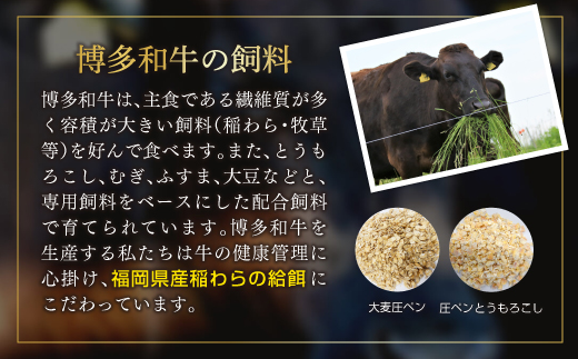 3G41 訳あり！【A4～A5】博多和牛焼肉切り落とし(肩ロース・バラ）　1kg(500ｇ×２P)