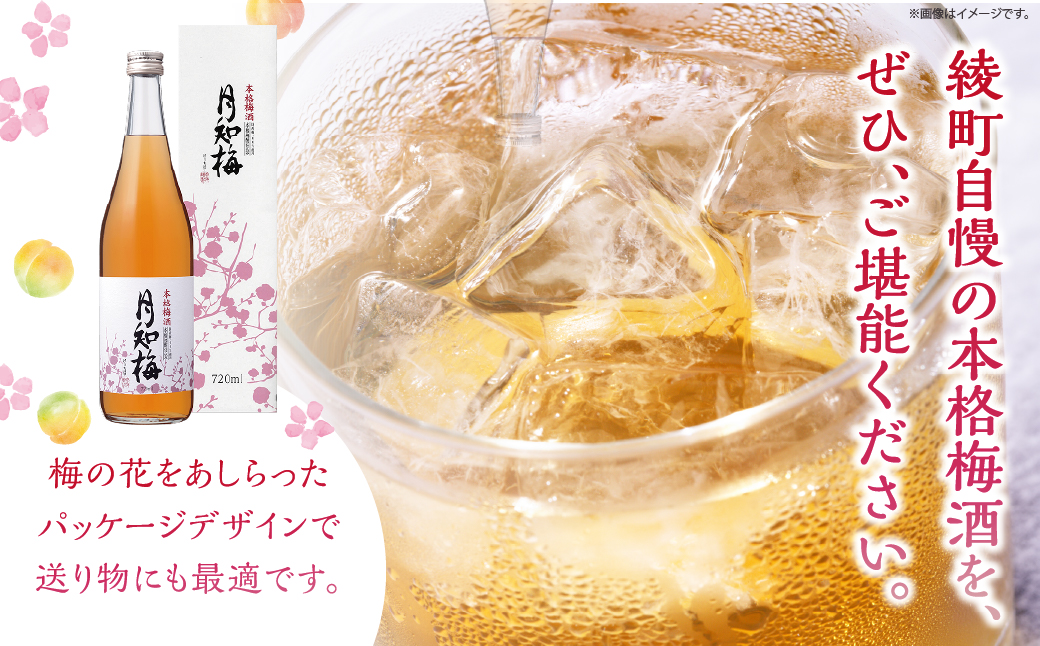 【雲海酒造】国産梅100%使用 本格梅酒「月知梅」720ml×3本_A0087-011