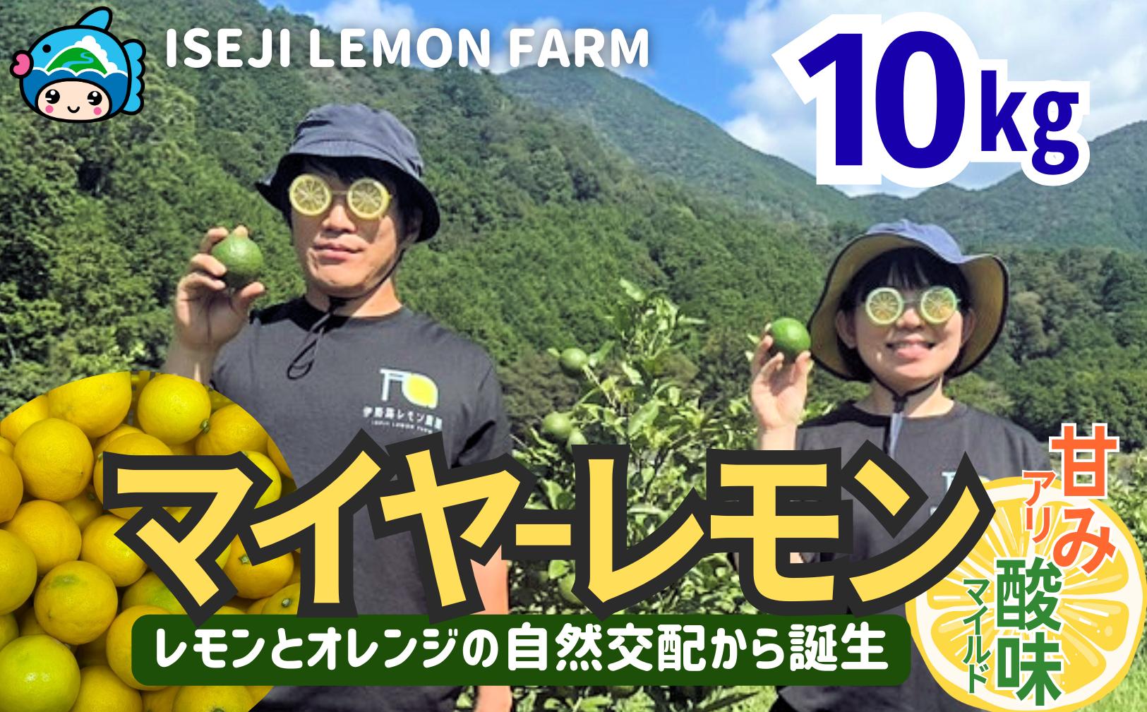 
                  「国産マイヤーレモン」10Kg　伊勢路レモン農園〈2026年10月以降出荷分受付開始〉【IL03】
                