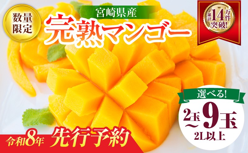 リピーター続出!!≪玉数が選べる≫数量限定 宮崎県産 完熟 マンゴー 2L以上 2玉 4玉 9玉 フルーツ 果物 果汁 希少 濃厚 ジューシー 贅沢 ご褒美 お祝い 人気 国産 食品 おやつ デザート 産地直送 おすすめ 贈り物 贈答 ギフト プレゼント 日南市 送料無料_S-C123-24
