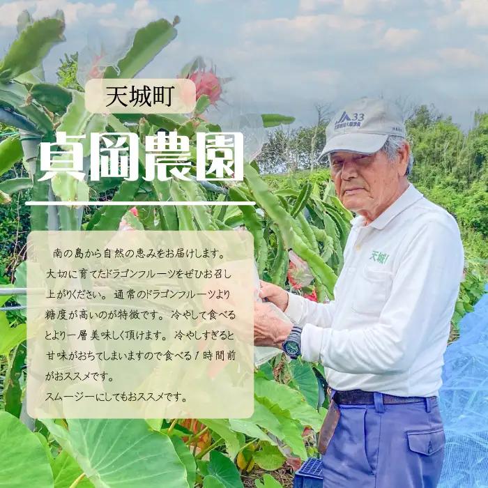 貞岡農園 プレミアム ドラゴンフルーツ 赤玉 1～1.5kg ( 2玉～3玉 ) 天城町産 徳之島宝赤 トロピカルフルーツ フルーツ 果物 果実 ピタヤ