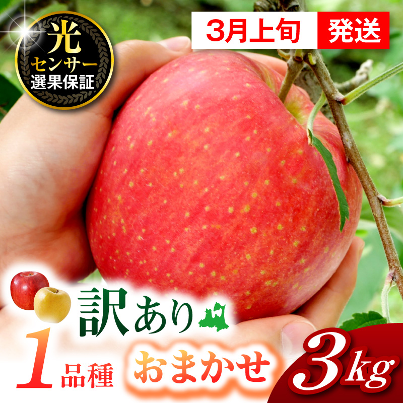 【2027年3月上旬発送】訳ありりんご約3kg おまかせ1品種 青森県五所川原市