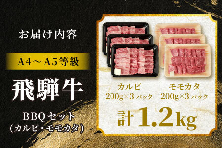 【最短発送】 飛騨牛 BBQセット（カルビ・モモカタ） 計1.2kg A5 A4 国産 牛 黒毛和牛 和牛 牛肉 カルビ もも モモ カタ 肩 かた 豪華 ギフト 贈答 肉のひぐち