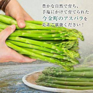 【訳あり】 朝採れ新鮮アスパラ 1kg （S～2Lサイズ混合） 野菜 北海道産 バーベキュー BBQ キャンプ 旬野菜 ワケあり わけあり アスパラガス 冷蔵発送 F21W-304