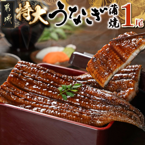 宮崎県育ちの【特大】うなぎ蒲焼1尾210g以上≪山椒・たれ付≫_11-M301