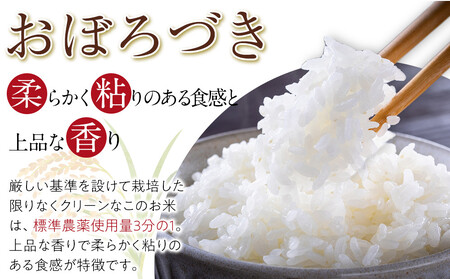 【11月配送】特別栽培米おぼろづき精米6kg(3kg×2袋) 令和7年産(11月から発送予定) |  米 米 米 米 米 米 _05281