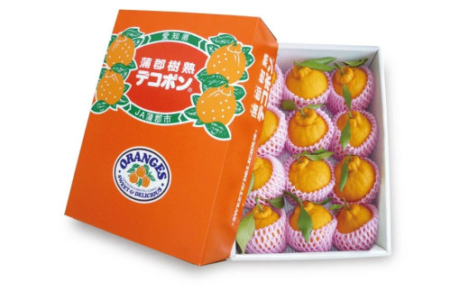 【G0004】【期間限定】蒲郡樹熟デコポン 約３ｋｇ