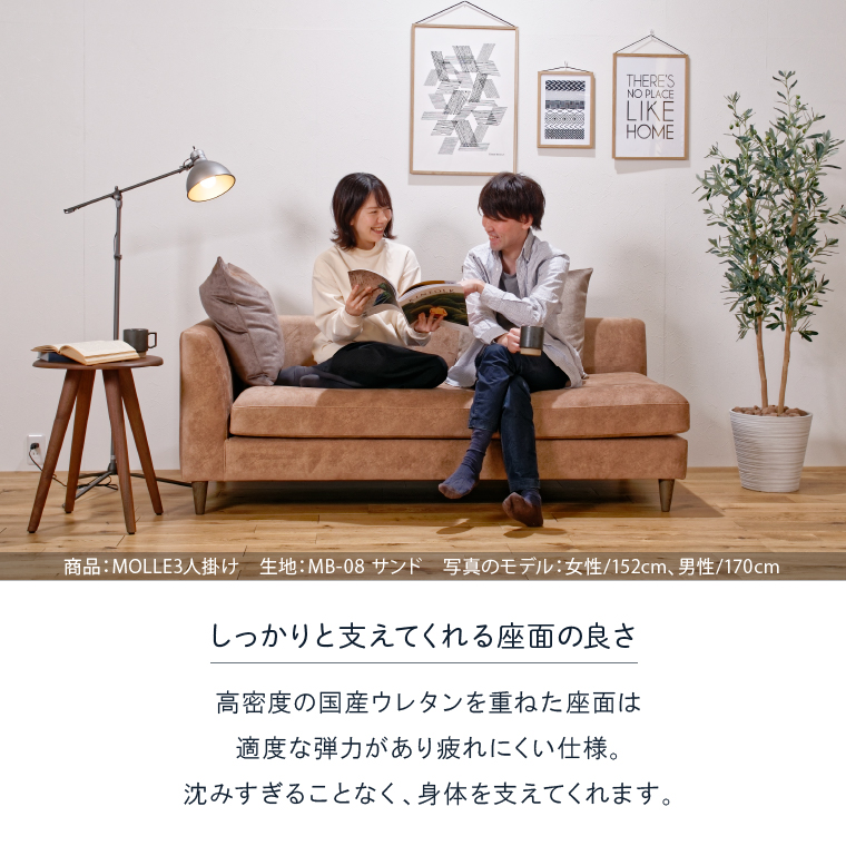 blocco MOLLE（モーレ）3人掛けソファ [片肘/55角クッション×2個付き/ペット対応生地]