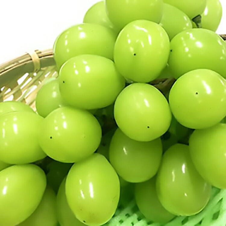 【ふるさと納税】【期間限定発送】 シャインマスカット 1房 約700g [tk06ayt050003 山形県 高畠町 大野農園] ぶどう ブドウ 葡萄 マスカット 大粒 種なし 果物 フルーツ くだもの