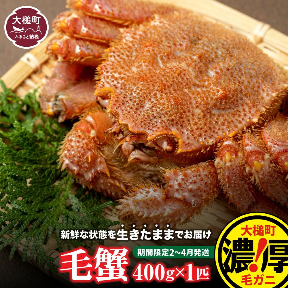 【ふるさと納税】【令和8年発送】活毛がに 400g×1杯〜100杯 ≪2026年2月〜4月発送≫ 毛ガニ 活 活毛ガニ 活毛がに 活ガニ 活がに 活蟹 毛蟹 三陸 三陸産 活 蟹 カニ 生きてる 茹でる 海鮮 魚介 かにみそ 贅沢 濃厚 寿司 ちらし がに ガニ 期間限定
