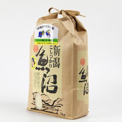 ふるさと納税 魚沼市 【毎月定期便】ツバメの飛び交う棚田米 精米2kg全6回