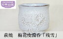 【ふるさと納税】萩焼 梅花皮湯呑「残雪」 湯呑 食器 ギフト　【萩市】