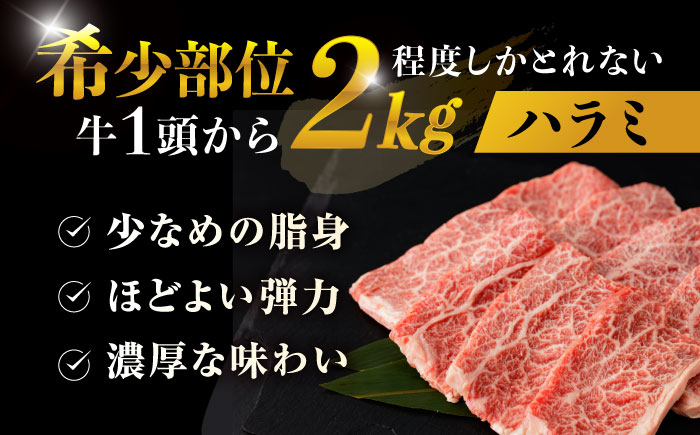 【味付き】 【柔らかさとコクの融合！】長崎和牛 ハラミ 300g / 国産 牛肉 和牛 焼肉 はらみ / 諫早市 / 野中精肉店 [AHCW116]