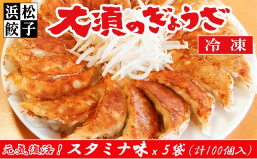 
                  浜松餃子 大須のぎょうざ［ 浜松ぎょうざ にんにくマシマシ！元気回復！＜ スタミナ味 ＞］× 5袋（1袋20個入、合計100個） [№5786-4911]
                