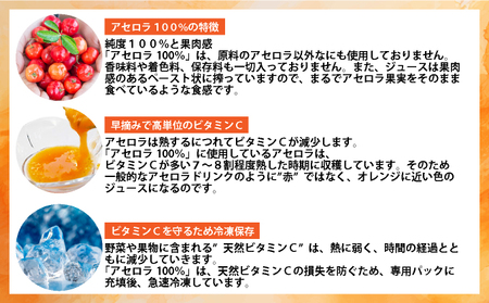 石垣島産 天然アセロラ 100％ジュース | 沖縄 石垣市 石垣島 八重山 特産 名産 天然 アセロラ 健康 ビタミン 無添加 】OO-1