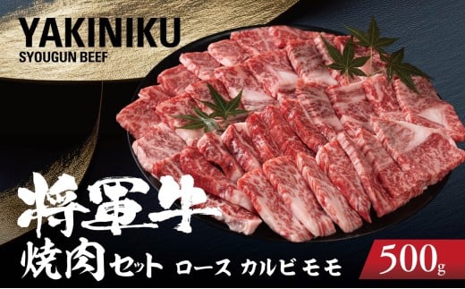 ＜将軍牛＞特選焼肉セット ロース カルビ もも 3種類 500g【1652110】