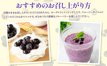 完熟 冷凍ブルーベリー 約1kg(200g×5袋)【ブルーベリー ブルーベリー ブルーベリー ブルーベリー ブルーベリー】 yg-0028