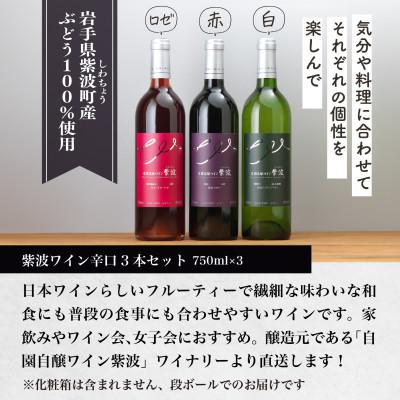 ふるさと納税 岩手県 自園自醸ワイン紫波 辛口ワイン3本セット |  | 01