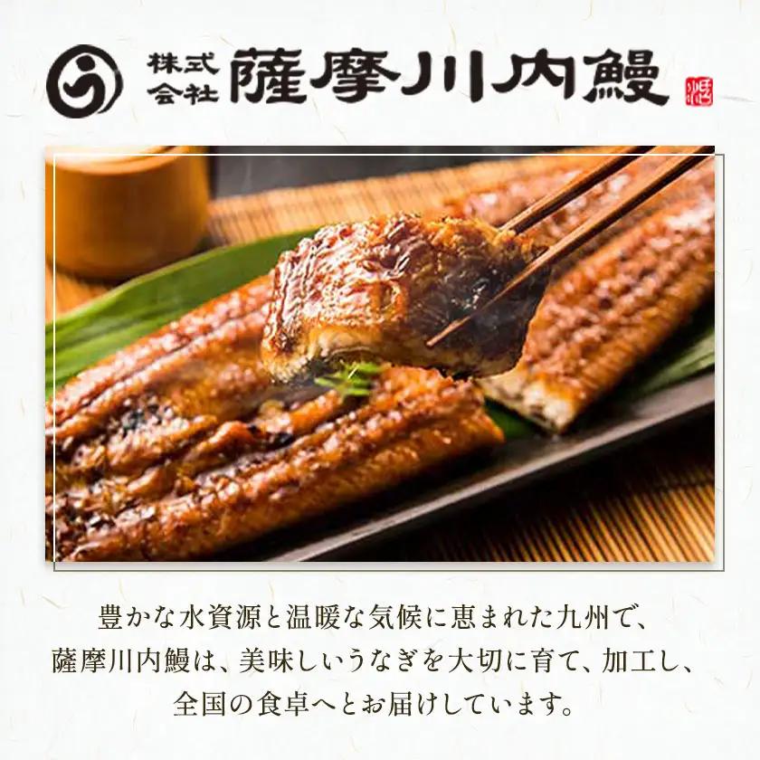 【土用の丑の日】＼特大サイズ／ 鹿児島県産 鰻蒲焼真空セット！5尾 タレ・山椒付！ 株式会社薩摩川内鰻 《7月中旬-7月下旬頃出荷》
