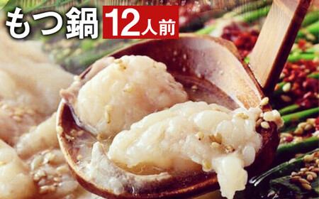 九州鍋グランプリ受賞 ぷりぷり もつ鍋 セット（12人前）《90日以内に出荷予定(土日祝除く)》菊池市産・熊本県産和牛使用