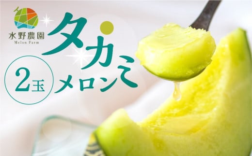 【先行予約】2026年6月中下旬よりお届け 【2玉】タカミメロン 2玉 水野農園