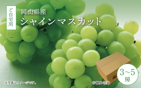 真庭市産 シャインマスカット 自宅用 3～5房 / 【2025年9月中旬以降発送予定】数量限定 ブドウ ぶどう お手頃 訳あり 岡山 真庭 マスカット 葡萄 果物 フルーツ 新鮮 産地直送 家庭用 人気 種なし 【配送不可地域：北海道・沖縄県・離島】 (shinemuscat03) 【jujiya003】