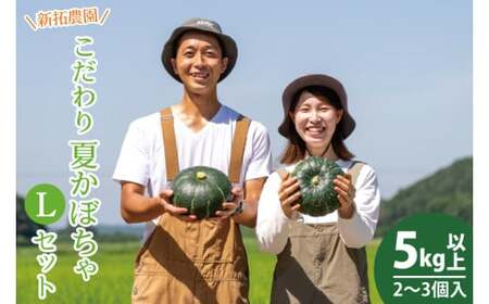 かぼちゃ 5kg以上 Lサイズ 野菜 南瓜 かぼちゃ