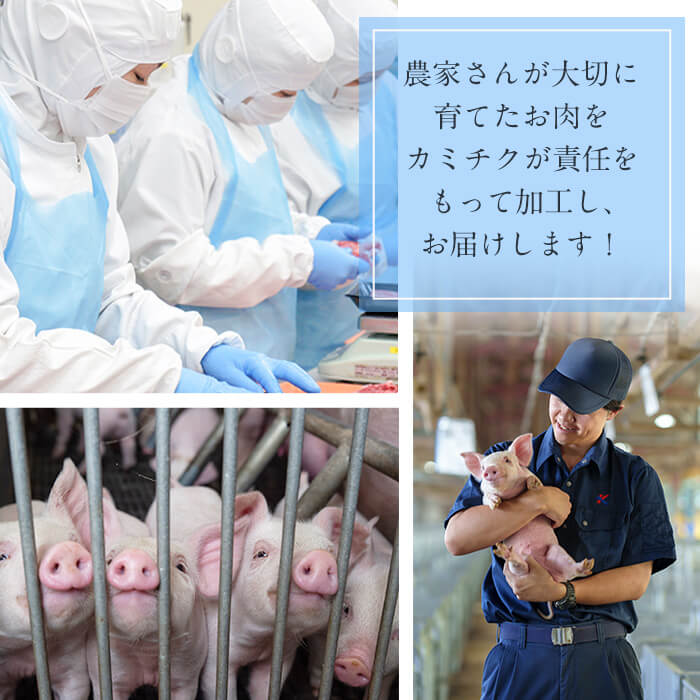 〈3回定期便〉鹿児島県産 豚モモスライス&カタ薄切り 各250g×8Pずつ 計4kg×3回 肉 豚肉 モモ スライス 薄切り セット 食べ比べ モモスライス 豚モモ 豚カタ 冷凍 国産 野菜炒め 生姜