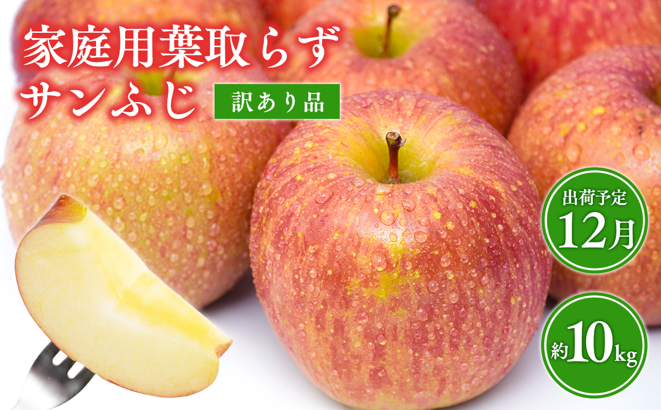 12月 葉取らずサンふじりんご 約10kg訳あり 家庭用【青森県 平川市 森山商店 】 