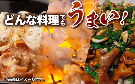 【12回定期便】【長崎和牛】ミックスホルモン（プレーン） 毎月200g×3袋 計7.2㎏ 長与町/なかみ屋本舗[EAD097]