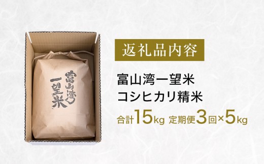 【3回定期便】富山湾一望米　コシヒカリ 精米 【容量5kg】農家直送 米 定期便