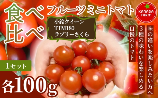 《先行予約》【3種の味わいを楽しめる】フルーツミニトマト食べ比べセット  1セット 野菜 食べ比べ 詰め合わせ サラダ 食材 おうちごはん 家庭用  贈り物 「日々の食卓 お取り寄せ 新鮮 旬 産地直送 愛知県 豊橋市